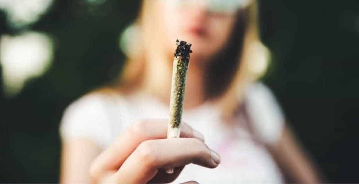 Cannabis-mariwana-marijuana