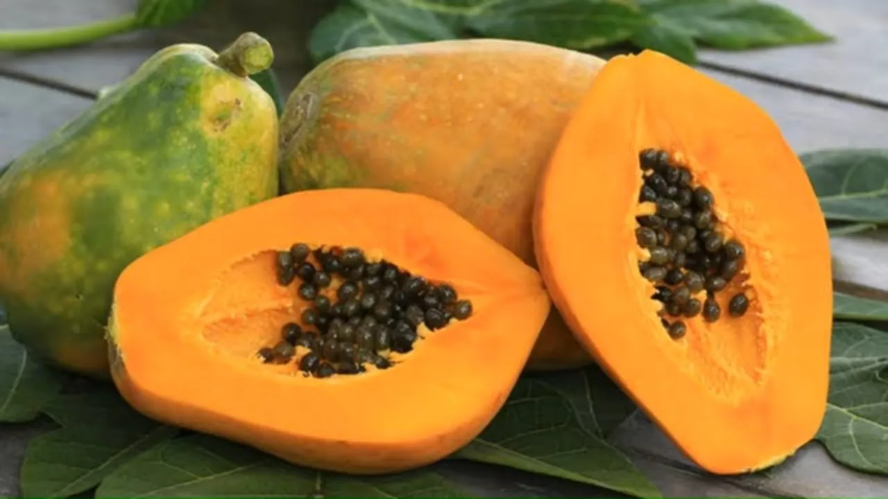 papaya